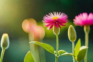 rosa fiori nel il sole con verde le foglie. ai-generato foto