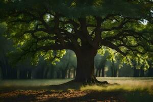 un' grande albero nel il mezzo di un' campo. ai-generato foto