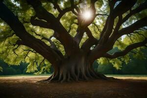 il sole brilla attraverso il tronco di un' grande albero. ai-generato foto