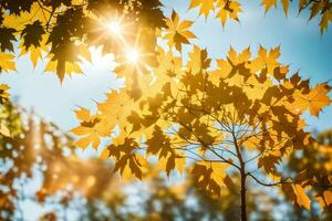 autunno le foglie nel il sole. ai-generato foto