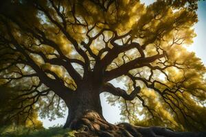 il sole brilla attraverso il rami di un' grande albero. ai-generato foto