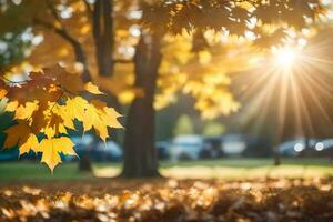 autunno le foglie nel il parco. ai-generato foto