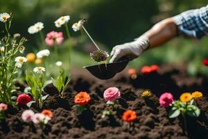 un' persona è piantare fiori nel un' giardino. ai-generato foto