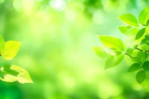 verde le foglie su un' soleggiato giorno. ai-generato foto