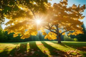 autunno albero con sole splendente attraverso le foglie. ai-generato foto