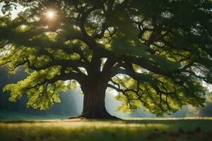 il sole brilla attraverso il le foglie di un quercia albero. ai-generato foto