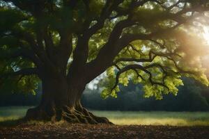 il sole brilla attraverso il le foglie di un vecchio quercia albero. ai-generato foto