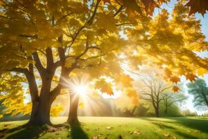 autunno le foglie su un' albero nel il sole. ai-generato foto
