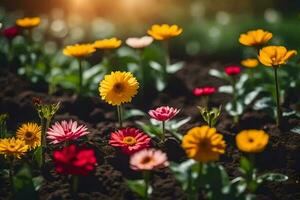 colorato fiori nel il giardino. ai-generato foto