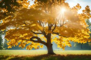 un' albero con giallo le foglie nel il sole. ai-generato foto