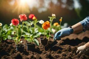 un' persona è piantare fiori nel il giardino. ai-generato foto