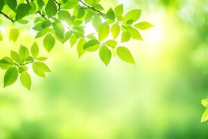 verde le foglie su un' soleggiato giorno. ai-generato foto