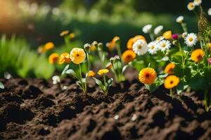 un' campo di fiori in crescita nel il sole. ai-generato foto