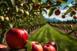 mele siamo in crescita su un' ramo nel un frutteto. ai-generato foto