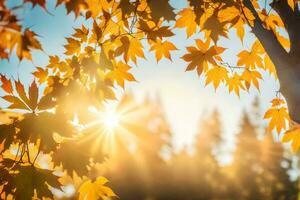 autunno le foglie siamo visto nel il sole. ai-generato foto