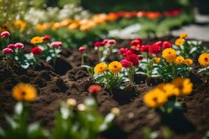 colorato fiori nel un' giardino. ai-generato foto