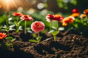 fiori in crescita nel il sole. ai-generato foto