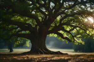 il sole brilla attraverso il le foglie di un' grande albero. ai-generato foto