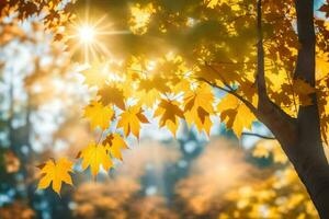 autunno le foglie nel il sole con il sole splendente attraverso. ai-generato foto