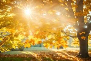 autunno le foglie su un' albero nel il sole. ai-generato foto