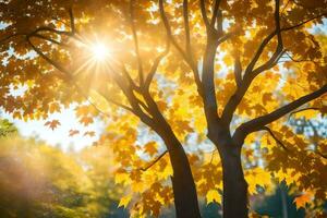 il sole brilla attraverso il le foglie di un' albero. ai-generato foto