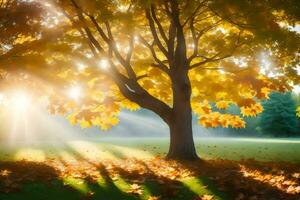 autunno albero con sole raggi splendente attraverso le foglie. ai-generato foto