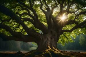 il sole brilla attraverso il albero tronco di un vecchio quercia. ai-generato foto