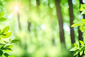 verde le foglie e sole nel il foresta. ai-generato foto