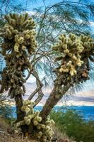 scene al lago mead, nevada arizona stateline foto