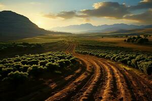 bellissimo Visualizza di un' tè campo piantagione, vigneto azienda agricola o fragola giardino nel il verde colline a Alba concetto di ai generato foto