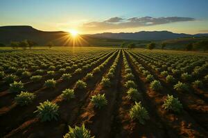 bellissimo Visualizza di un' tè campo piantagione, vigneto azienda agricola o fragola giardino nel il verde colline a Alba concetto di ai generato foto