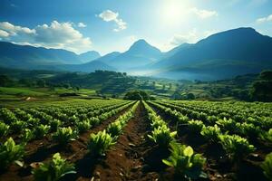 bellissimo Visualizza di un' tè campo piantagione, vigneto azienda agricola o fragola giardino nel il verde colline a Alba concetto di ai generato foto