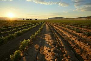 bellissimo Visualizza di un' tè campo piantagione, vigneto azienda agricola o fragola giardino nel il verde colline a Alba concetto di ai generato foto