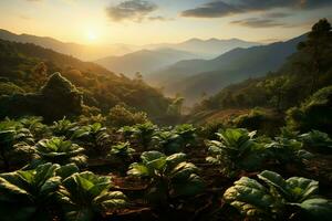 bellissimo Visualizza di un' tè campo piantagione, vigneto azienda agricola o fragola giardino nel il verde colline a Alba concetto di ai generato foto