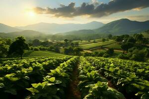 bellissimo Visualizza di un' tè campo piantagione, vigneto azienda agricola o fragola giardino nel il verde colline a Alba concetto di ai generato foto