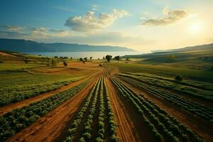 bellissimo Visualizza di un' tè campo piantagione, vigneto azienda agricola o fragola giardino nel il verde colline a Alba concetto di ai generato foto