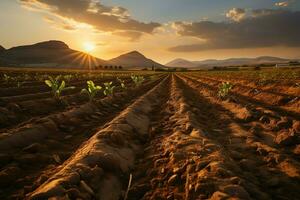 bellissimo Visualizza di un' tè campo piantagione, vigneto azienda agricola o fragola giardino nel il verde colline a Alba concetto di ai generato foto