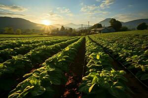 bellissimo Visualizza di un' tè campo piantagione, vigneto azienda agricola o fragola giardino nel il verde colline a Alba concetto di ai generato foto