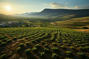 bellissimo Visualizza di un' tè campo piantagione, vigneto azienda agricola o fragola giardino nel il verde colline a Alba concetto di ai generato foto