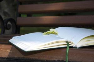 libro sul primo piano della panchina foto