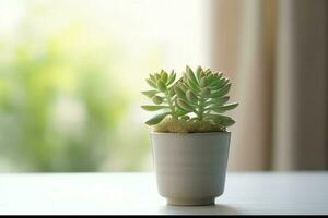 in vaso succulento pianta gasteria o piccolo cactus con copia spazio. casa giardinaggio e minimalista pianta concetto di ai generato foto