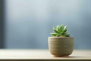 in vaso succulento pianta gasteria o piccolo cactus con copia spazio. casa giardinaggio e minimalista pianta concetto di ai generato foto