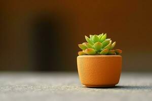 in vaso succulento pianta gasteria o piccolo cactus con copia spazio. casa giardinaggio e minimalista pianta concetto di ai generato foto