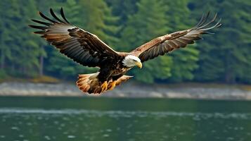 aquila liberamente volante sotto il luce del sole e blu cielo. predatore uccello a caccia nel safari est Africa concetto di ai generato foto