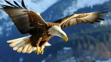 aquila liberamente volante sotto il luce del sole e blu cielo. predatore uccello a caccia nel safari est Africa concetto di ai generato foto