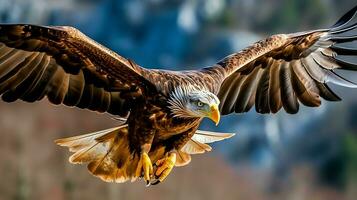 aquila liberamente volante sotto il luce del sole e blu cielo. predatore uccello a caccia nel safari est Africa concetto di ai generato foto