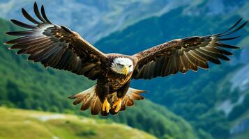 aquila liberamente volante sotto il luce del sole e blu cielo. predatore uccello a caccia nel safari est Africa concetto di ai generato foto