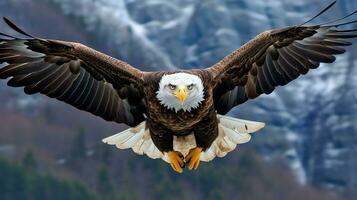 aquila liberamente volante sotto il luce del sole e blu cielo. predatore uccello a caccia nel safari est Africa concetto di ai generato foto