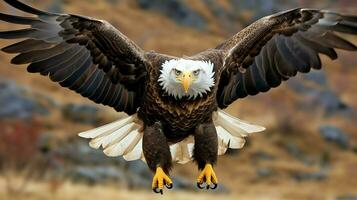 aquila liberamente volante sotto il luce del sole e blu cielo. predatore uccello a caccia nel safari est Africa concetto di ai generato foto