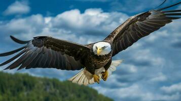 aquila liberamente volante sotto il luce del sole e blu cielo. predatore uccello a caccia nel safari est Africa concetto di ai generato foto